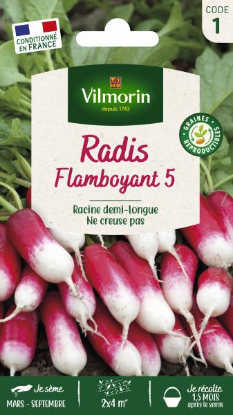 Potagères - Radis Flamboyant 5 - PACKAGING_RECTO